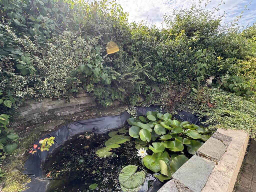 pond.jpeg