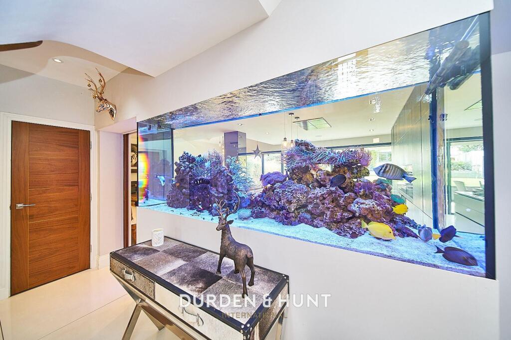 Connaught 37_result.jpg