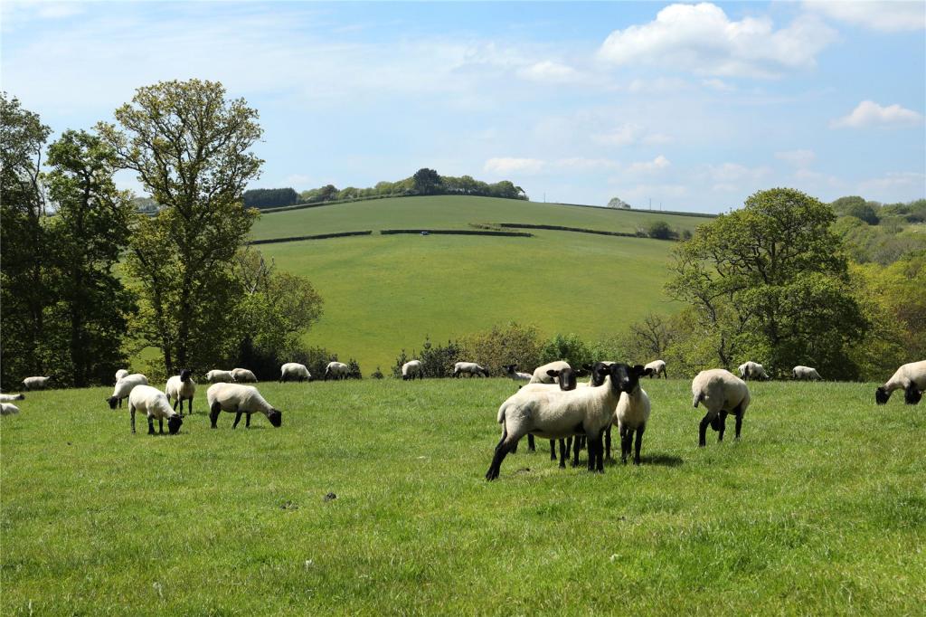 Picture 15