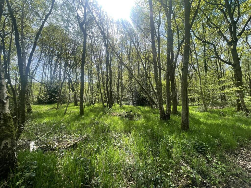 IMG_7577.JPEG