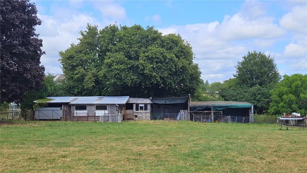 Picture 3