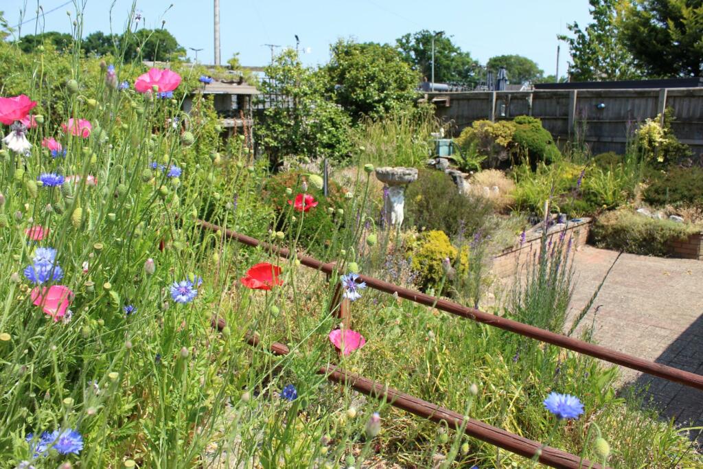 Garden In Bloom