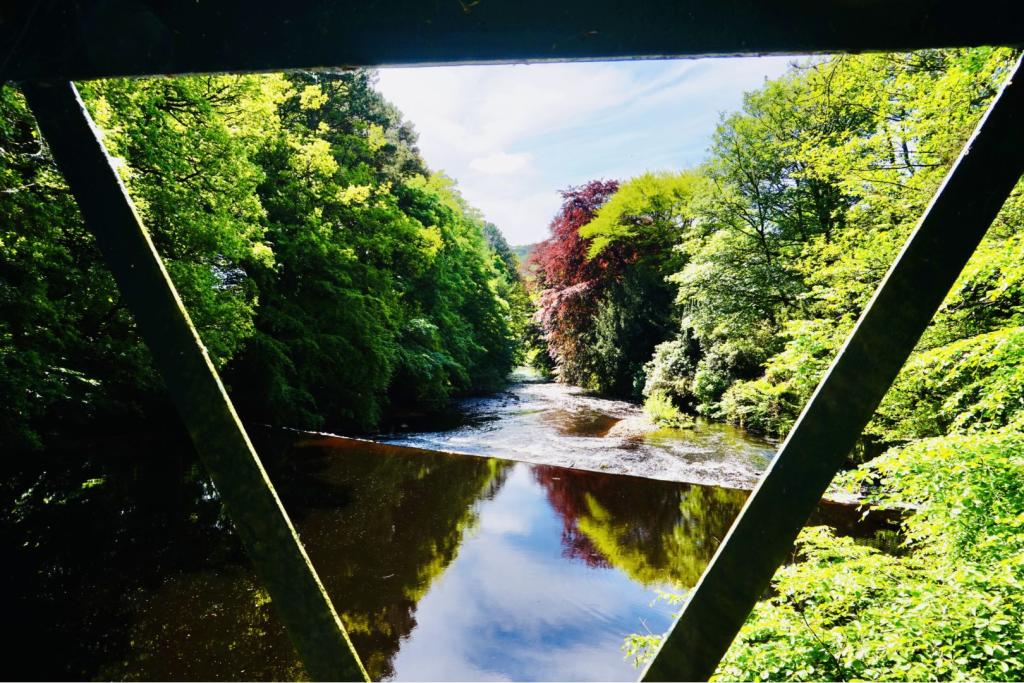 Nearby River