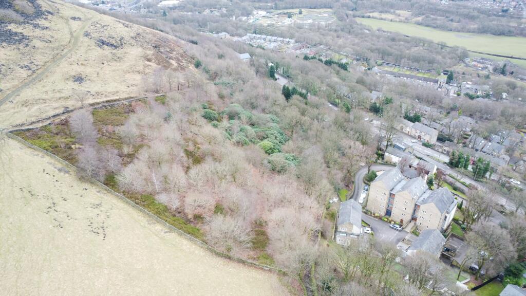 DJI 0003-min T202502181007.jpg