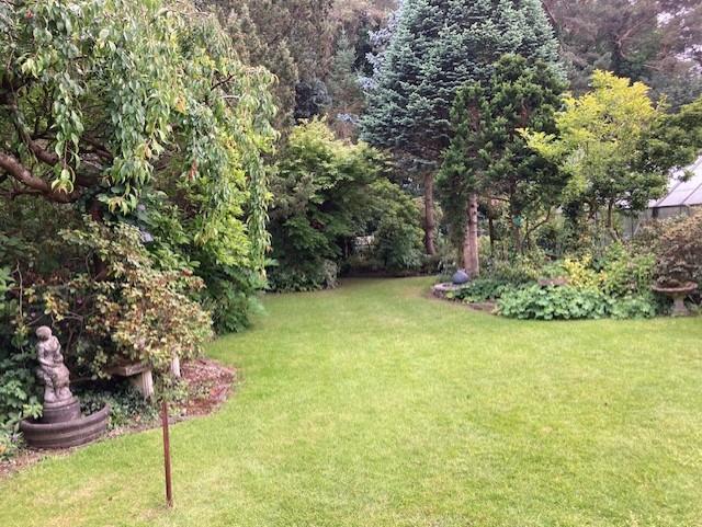 thumbnail_IMG_8840 garden 3.jpg