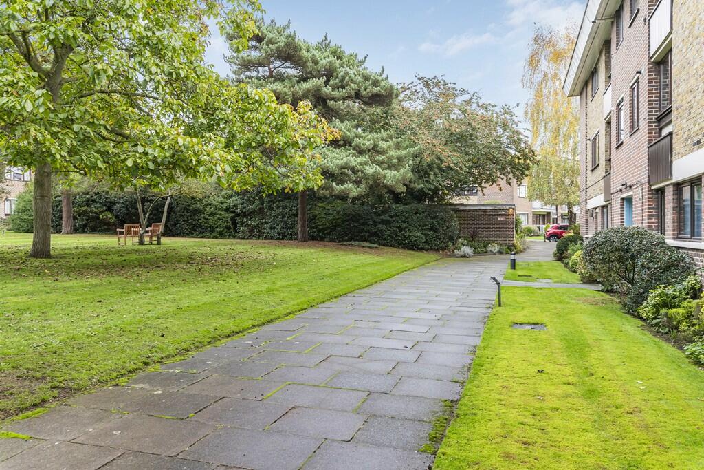 Grounds (2)