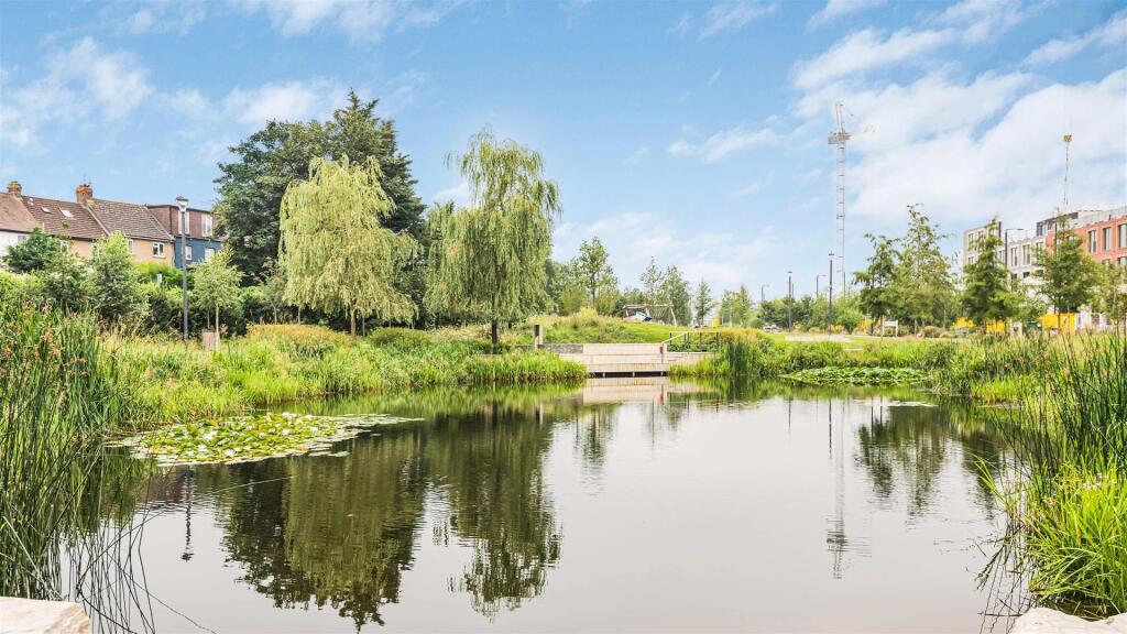 Pond.jpg