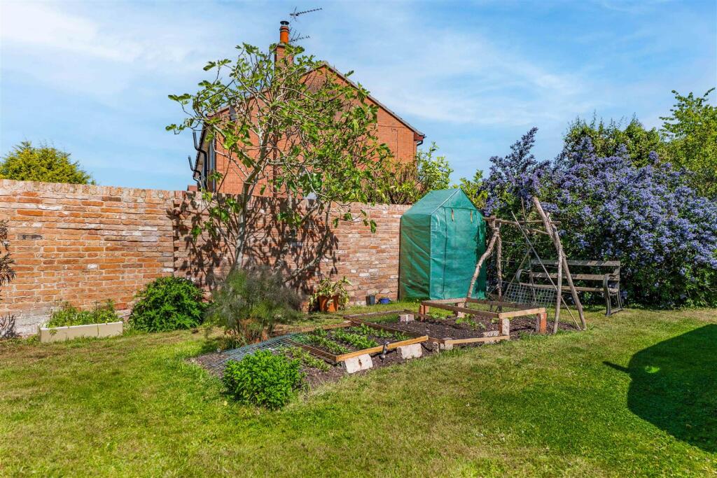 The White House-4.jpg