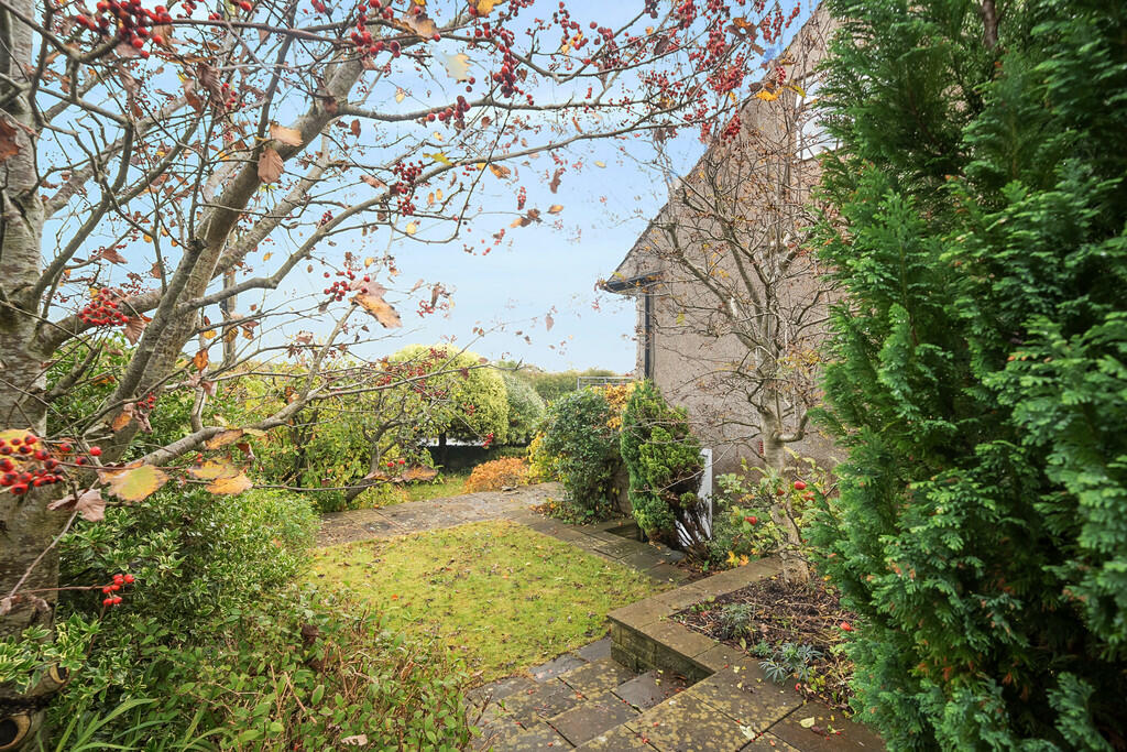 Side Garden