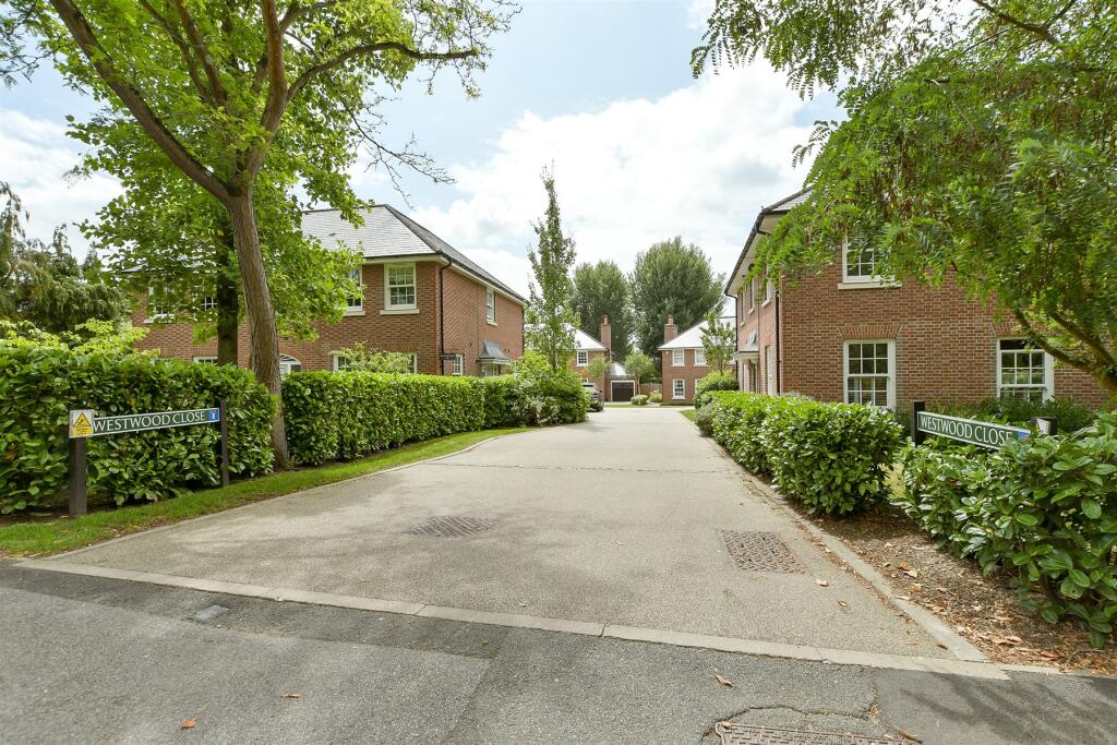 External Lifestyle Photograph