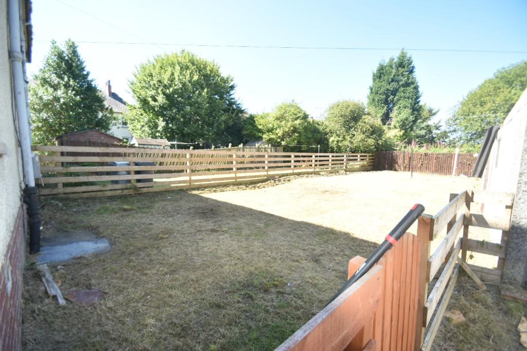 Back garden