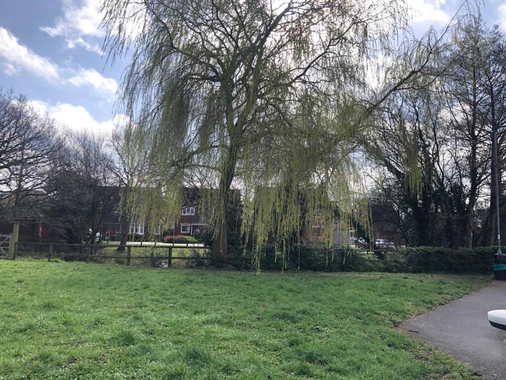 Ab72f33f-6f1d-421e-b280-327c4fe0b475 T202506051718.jpg