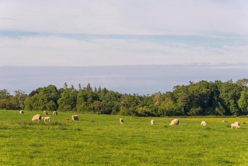 Lot 1 Land