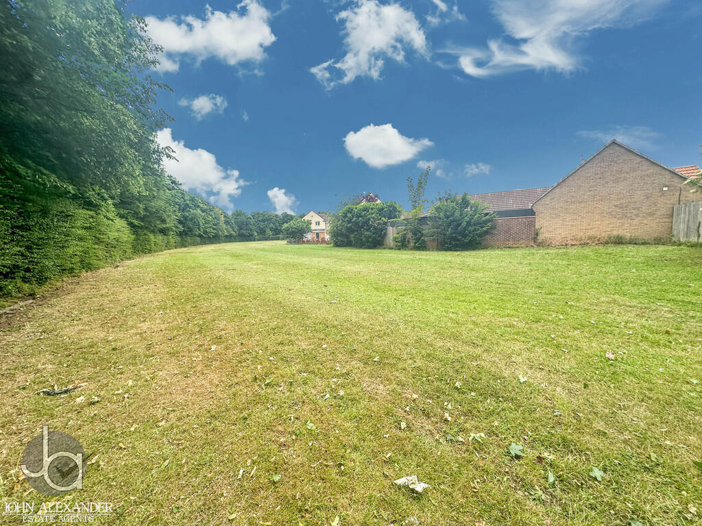 20250603_14412626...