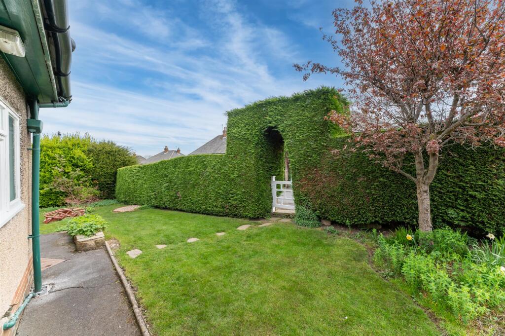 Side Garden