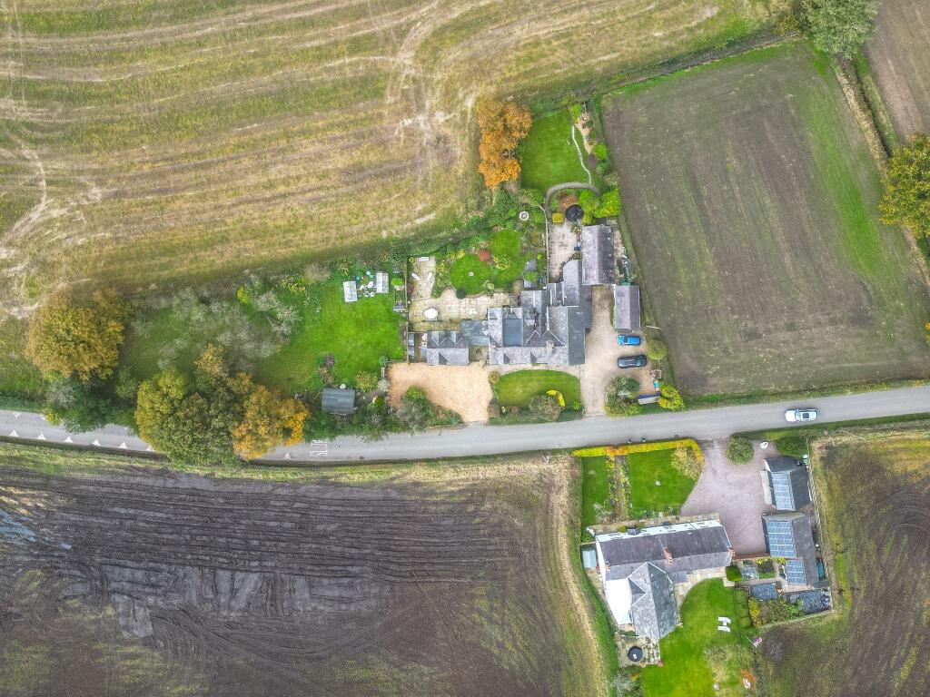 20241024-DJI_0137.jpg