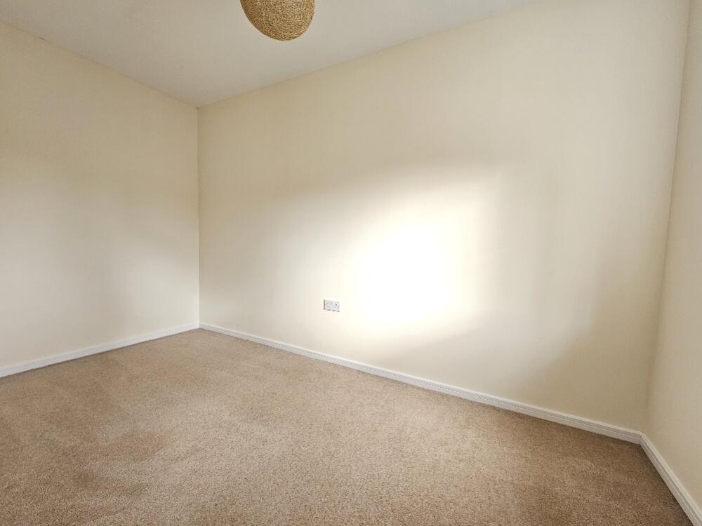 20240926_135524_resized