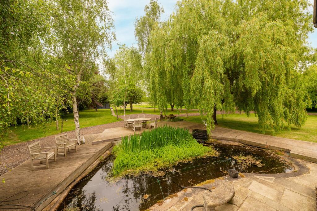 Pond