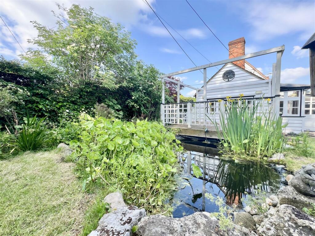 Garden - Pond 1.jpeg