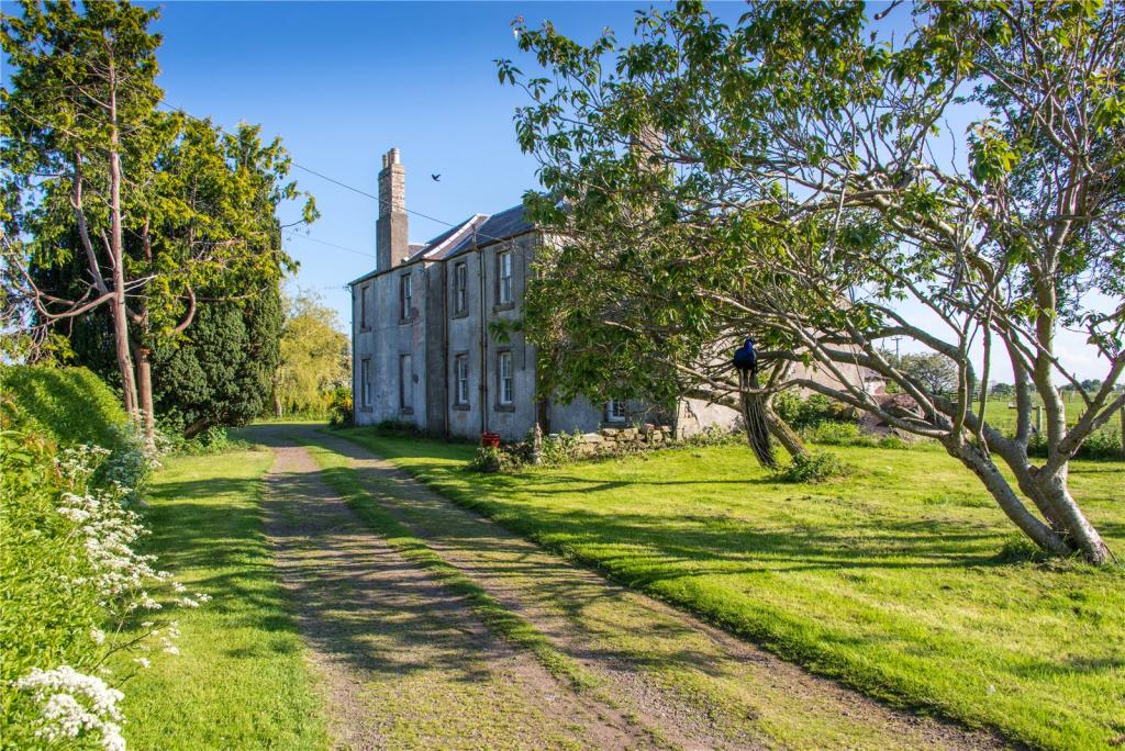 Access Driveway