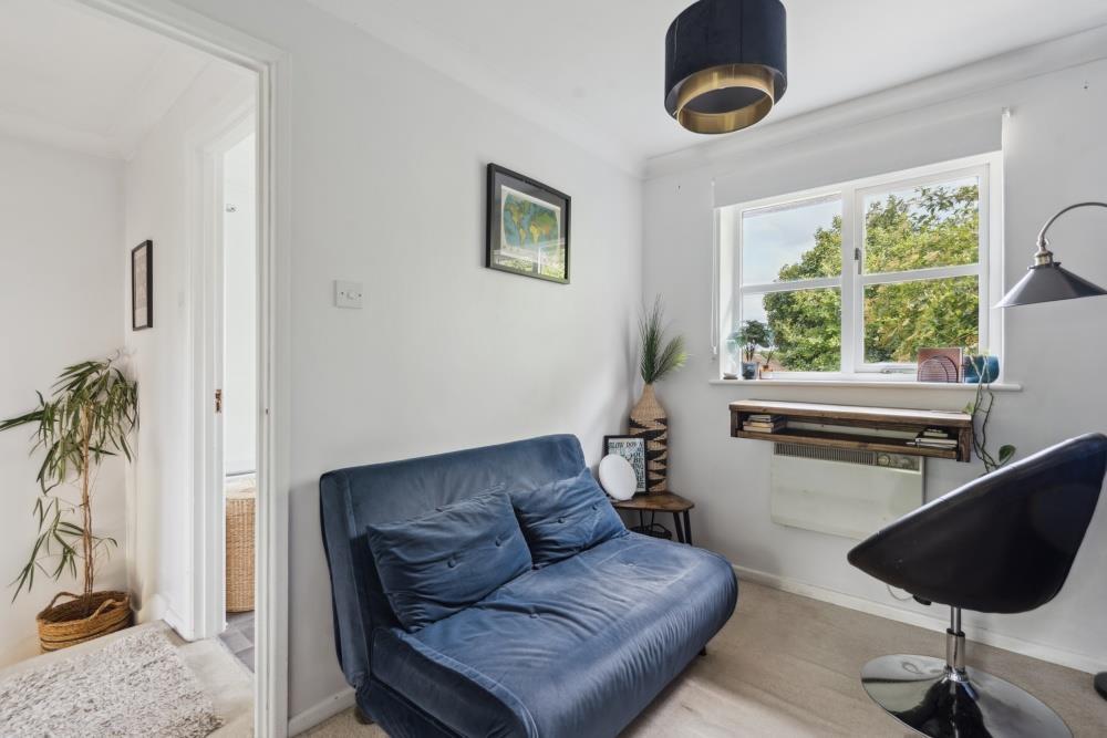 DSC03910 - 800px.jpg