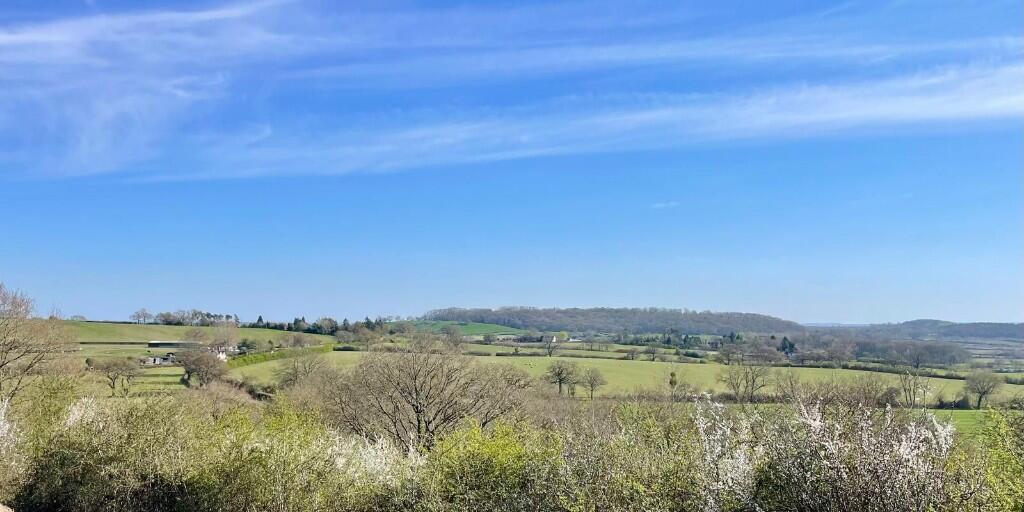 Open Views