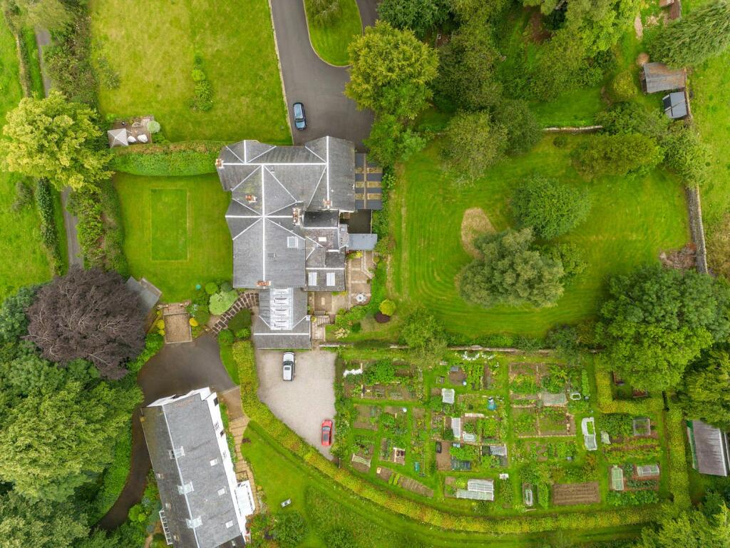 Over View Of Plot