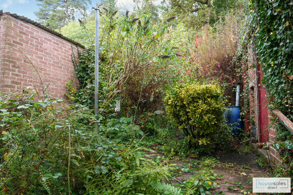 Rear of Property
