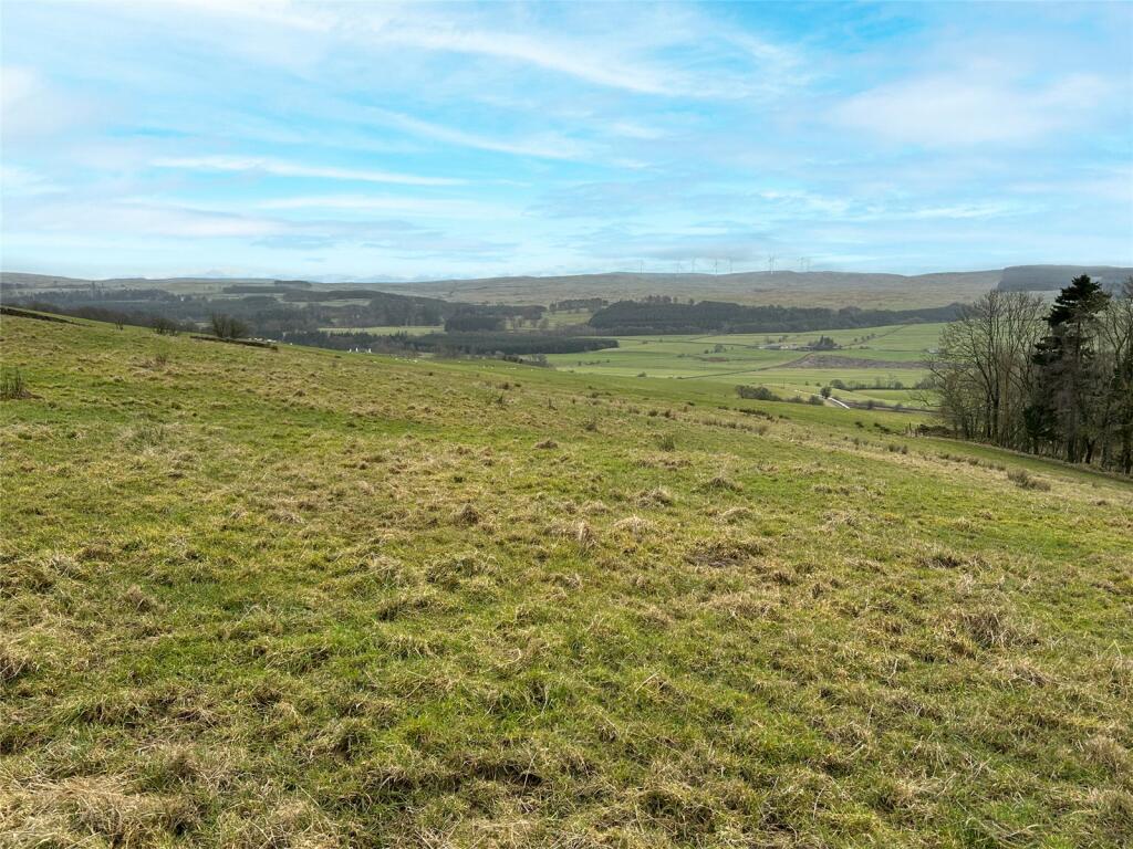 Grazing Field