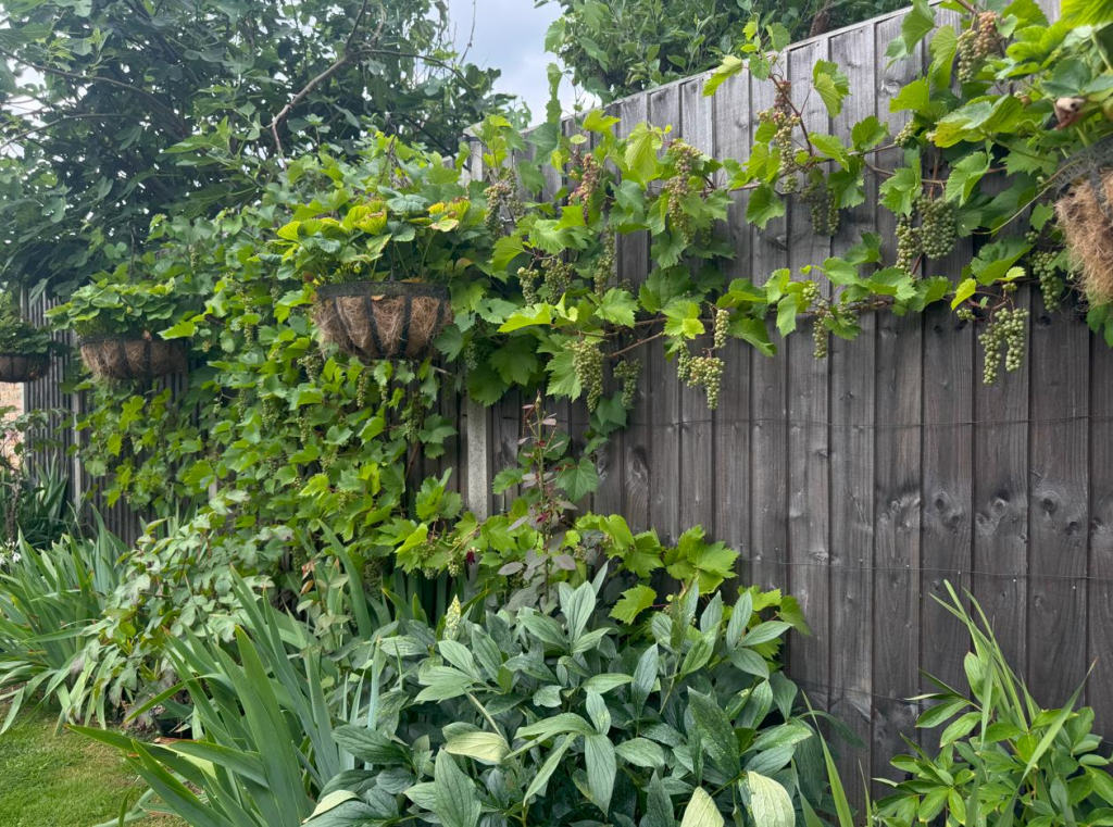 Screenshot 2025-07-21 155721.png