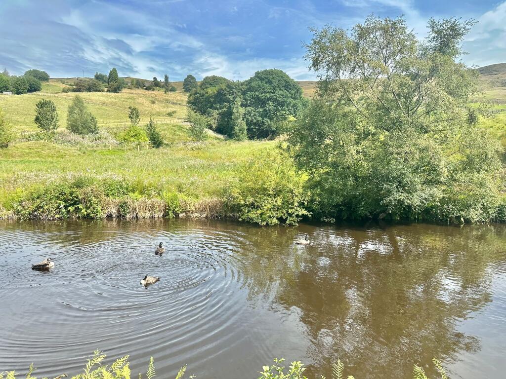 Photograph 32