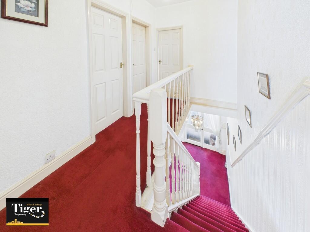 CAM02176G0-PR0558...