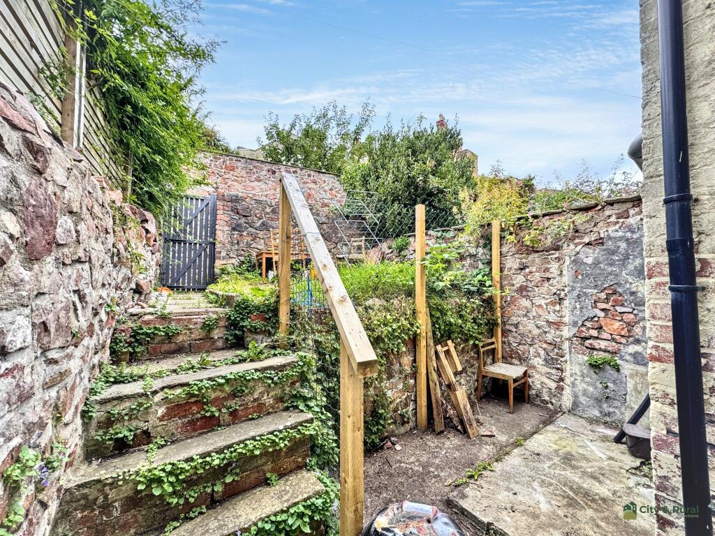 Back Yard T202507221241.jpg