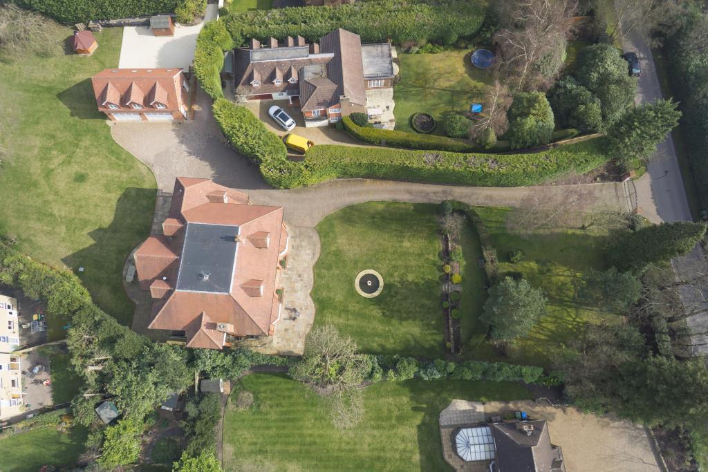 Little-Bassett_-Gran