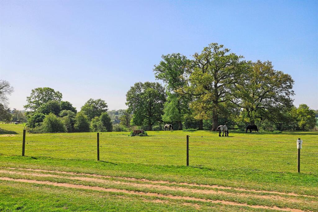_MG_2333-HDR.jpg