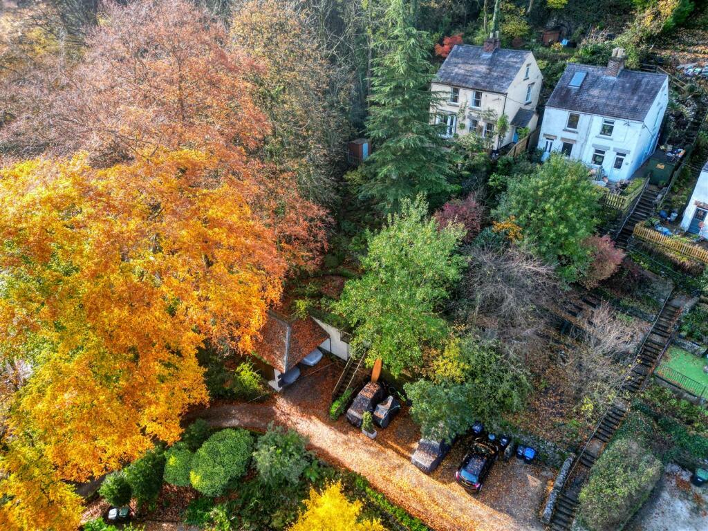 Drone - home, front garden and driveway.jpg