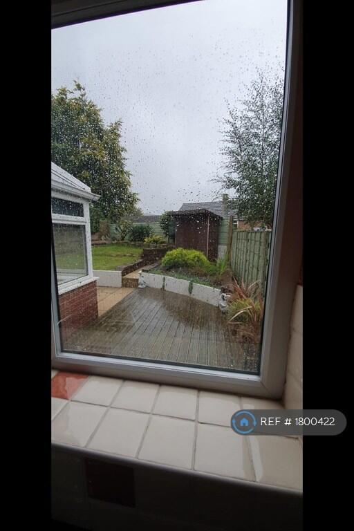 View From Kitchen Window