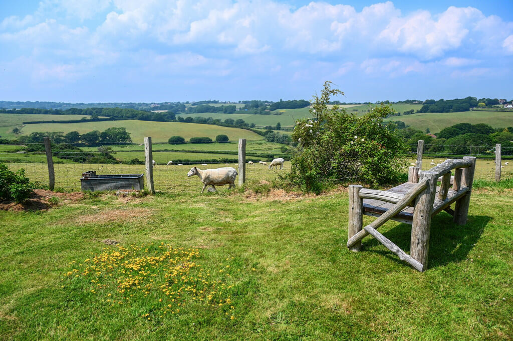 Curlew cottage tn...
