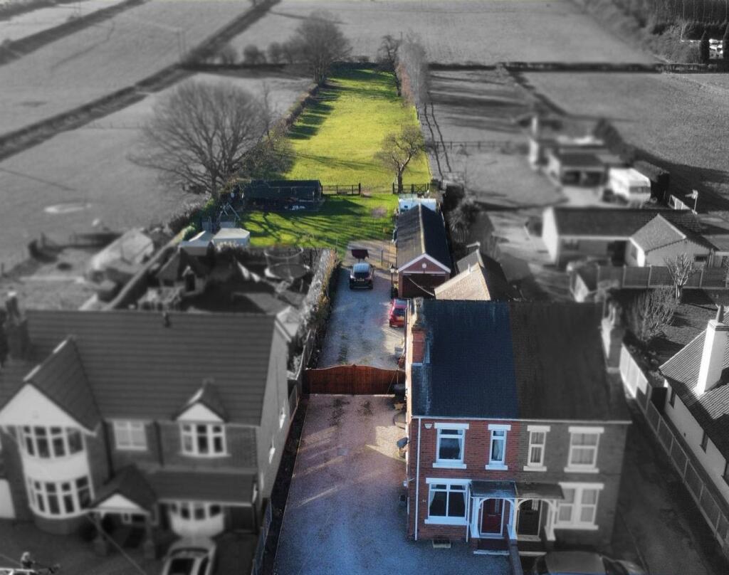 IMG-20250301-WA0004a copy.jpg