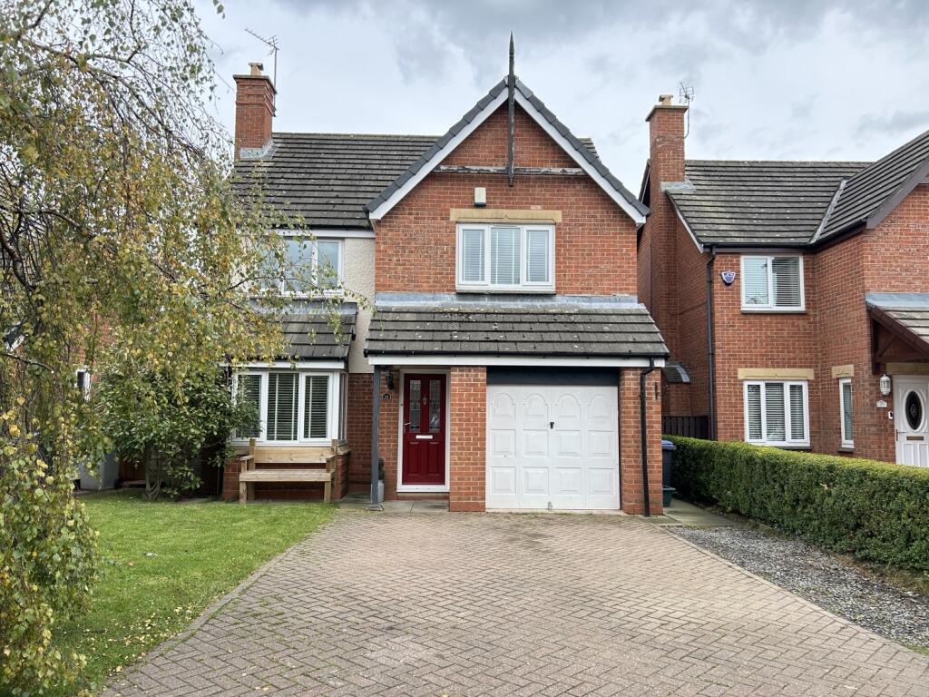 IMG_9152