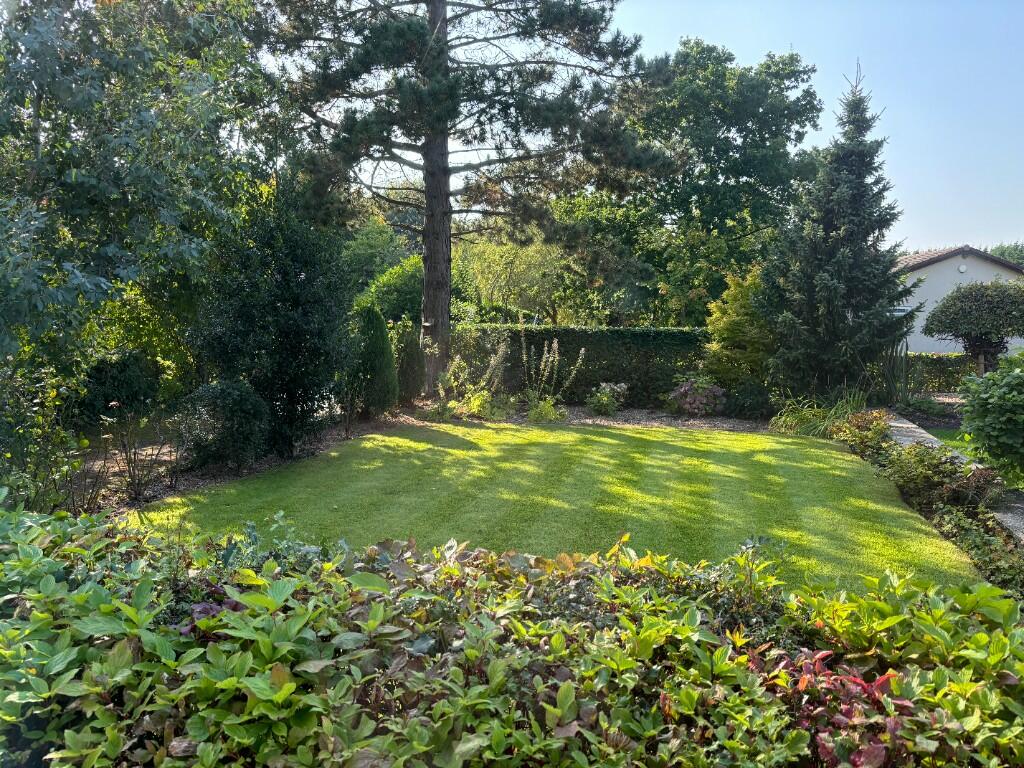Front garden