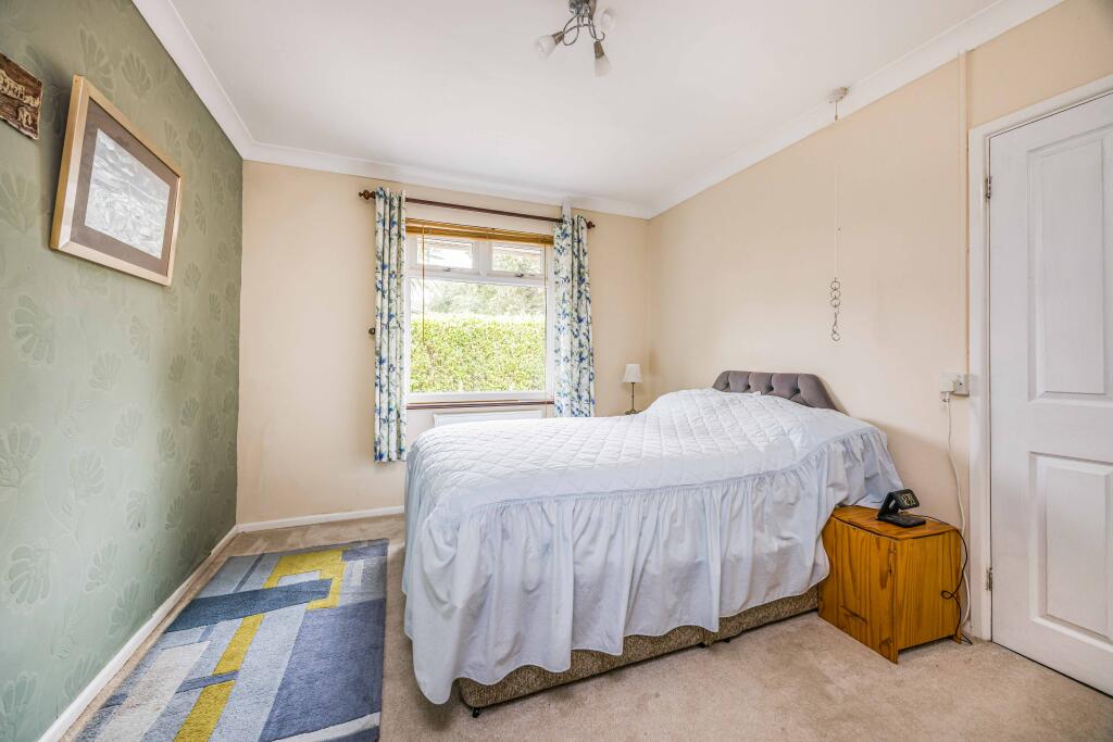 20240902133919751_original [971558157].jpg