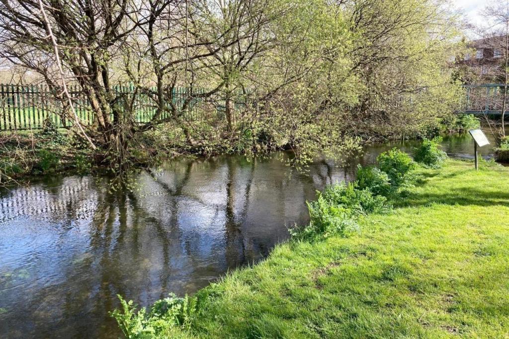 Nearby Stream