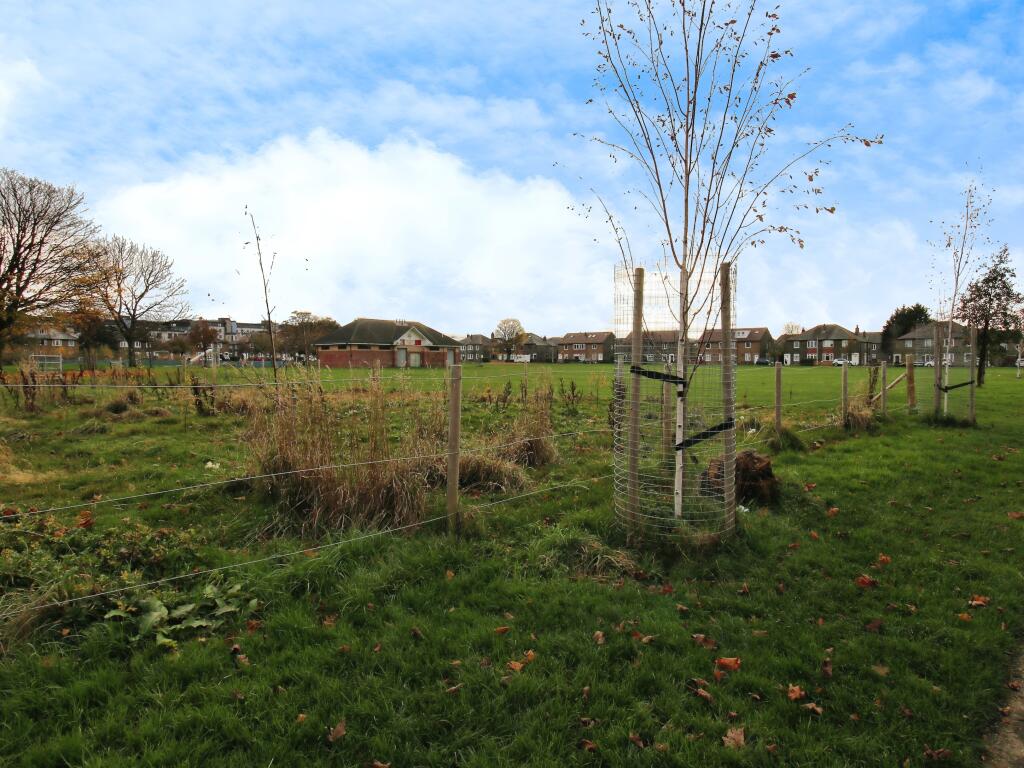 Surrounding Area