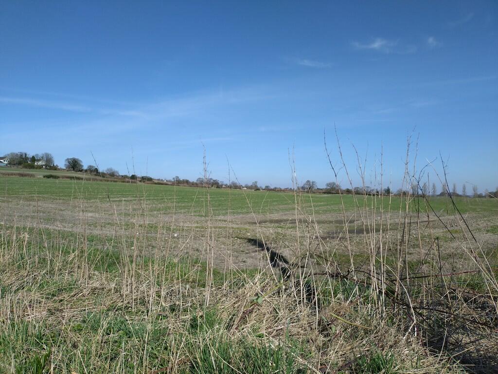Nearby Countrysid...
