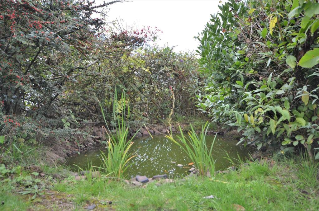 Seddons - Tiverton