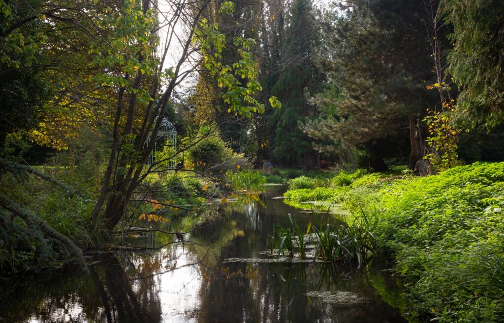 Stream