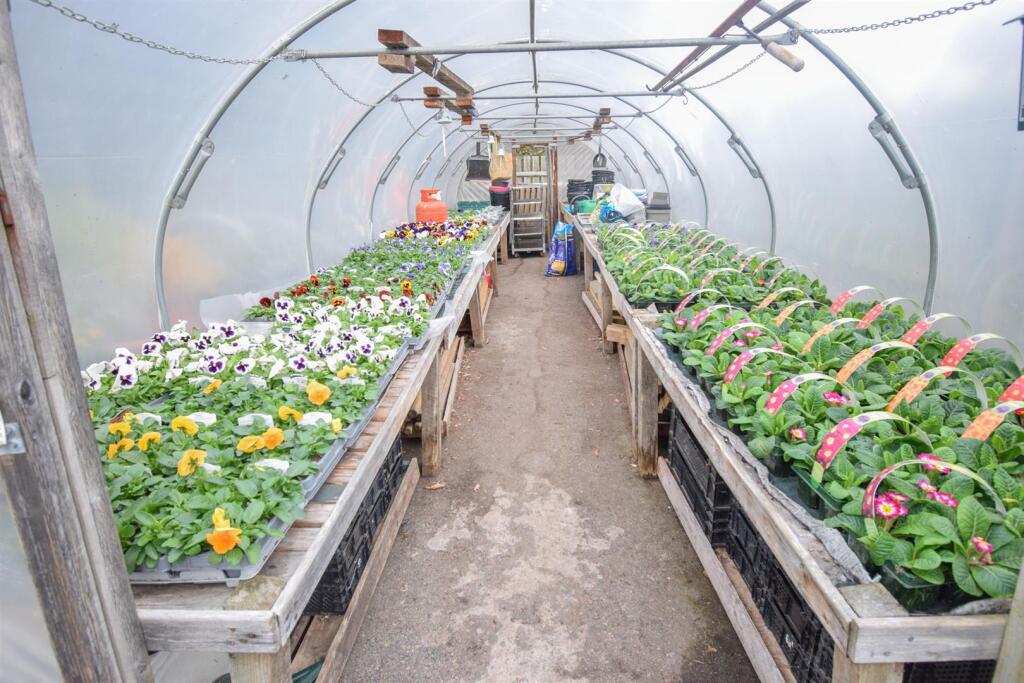 GREENHOUSE-2.jpg