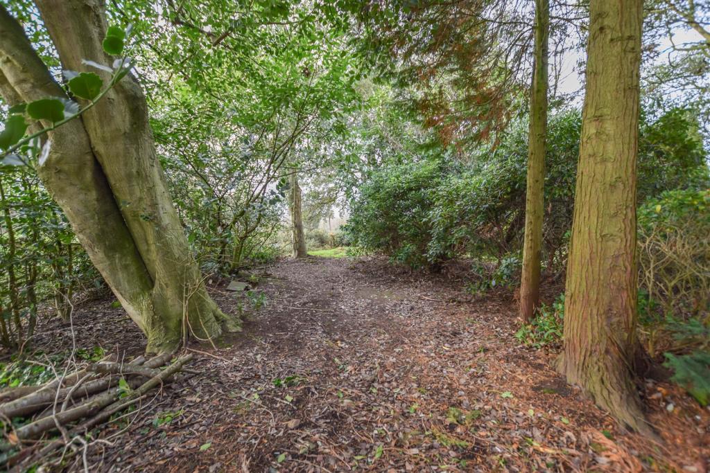 DSC_3655-20.JPG