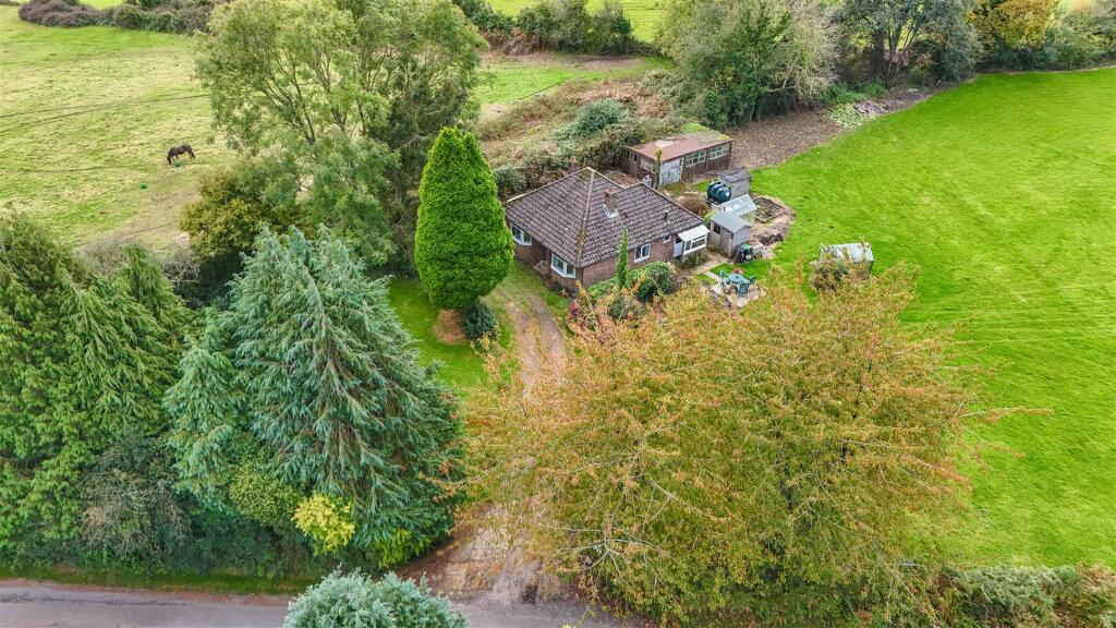 dji_fly_20241011_130524_0691_1728648500387_photo.J